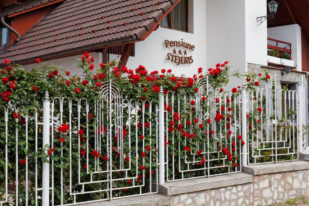 Pension Stejeris Brașov Exterior foto