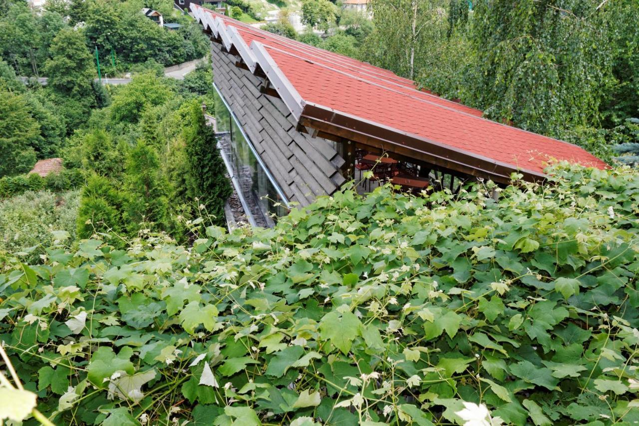 Pension Stejeris Brașov Exterior foto
