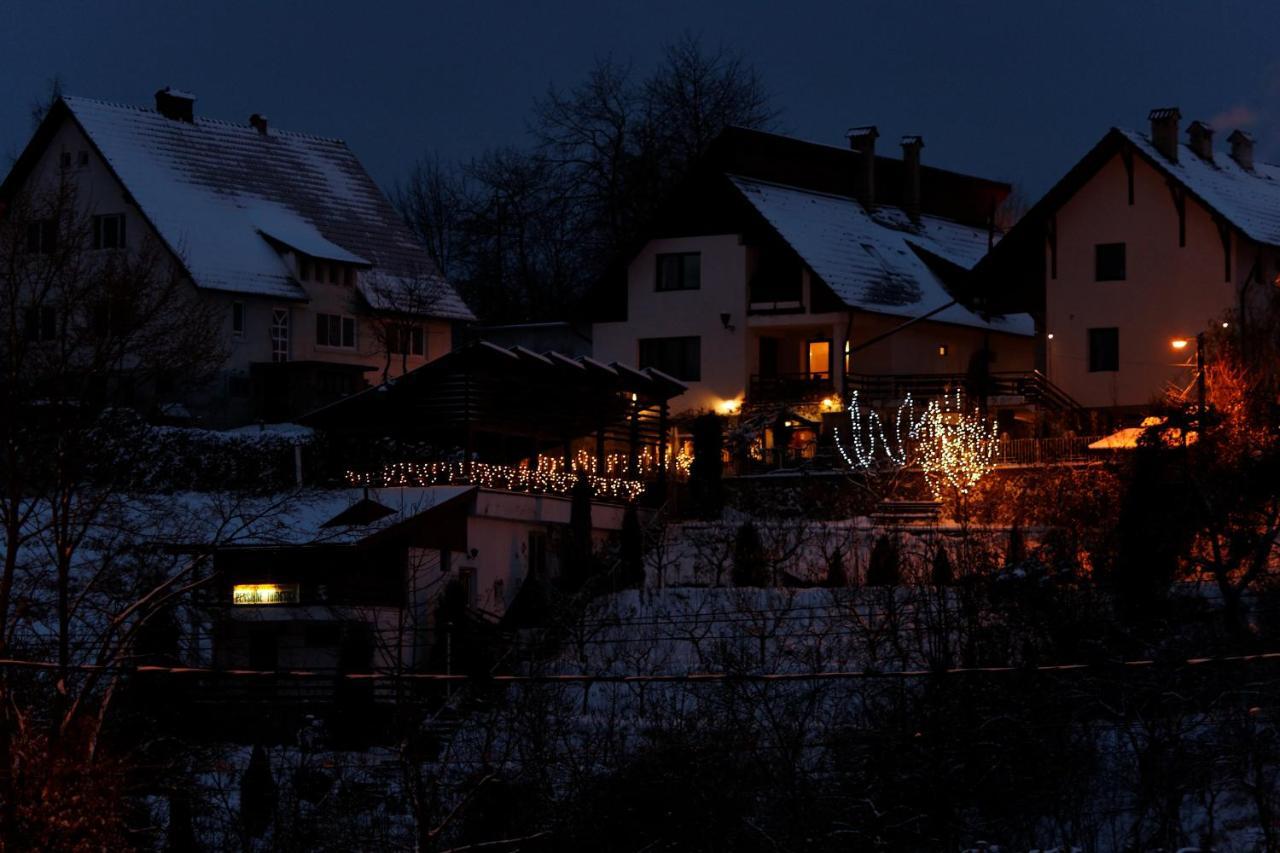 Pension Stejeris Brașov Exterior foto
