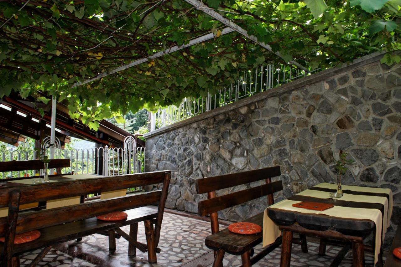 Pension Stejeris Brașov Exterior foto