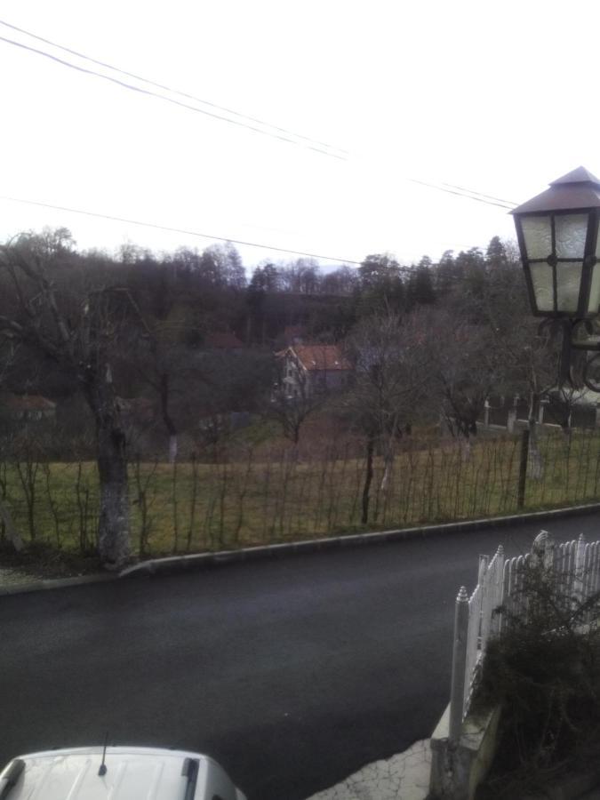 Pension Stejeris Brașov Zimmer foto