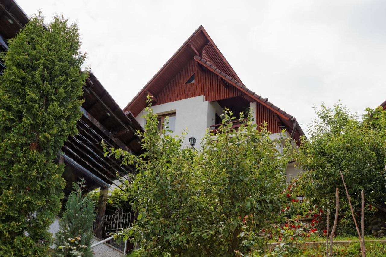 Pension Stejeris Brașov Exterior foto