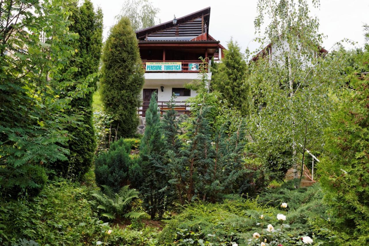 Pension Stejeris Brașov Exterior foto