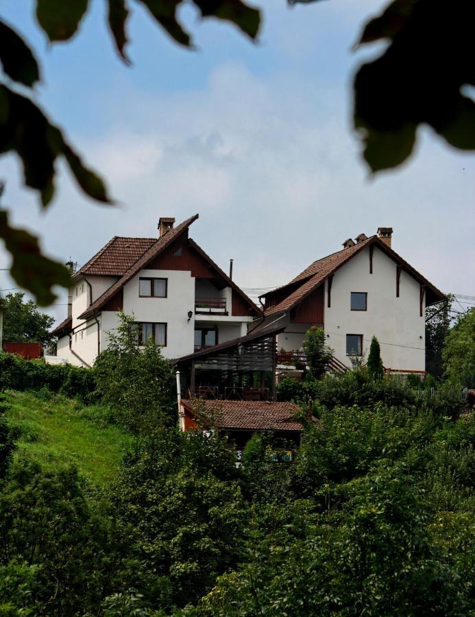 Pension Stejeris Brașov Exterior foto