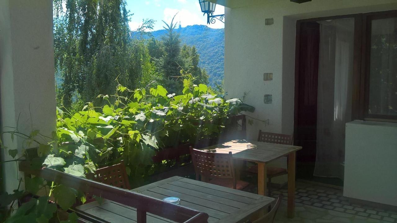 Pension Stejeris Brașov Exterior foto