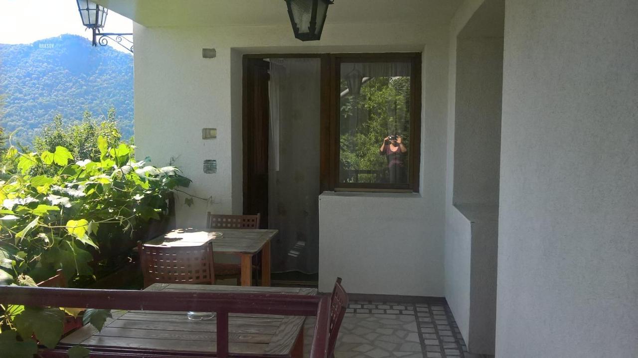 Pension Stejeris Brașov Exterior foto
